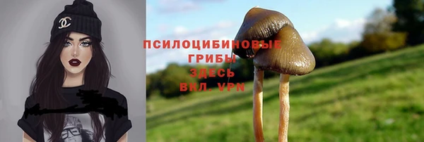 соль курить ск Заводоуковск